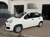Fiat fiat panda 1.2 easy italiana certificata nuova - Fiat: Italia