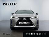 Lexus UX 250h Style Edition *Bi-LED*ACC*CAM*SHZ*CarPla - Lexus aus 2022