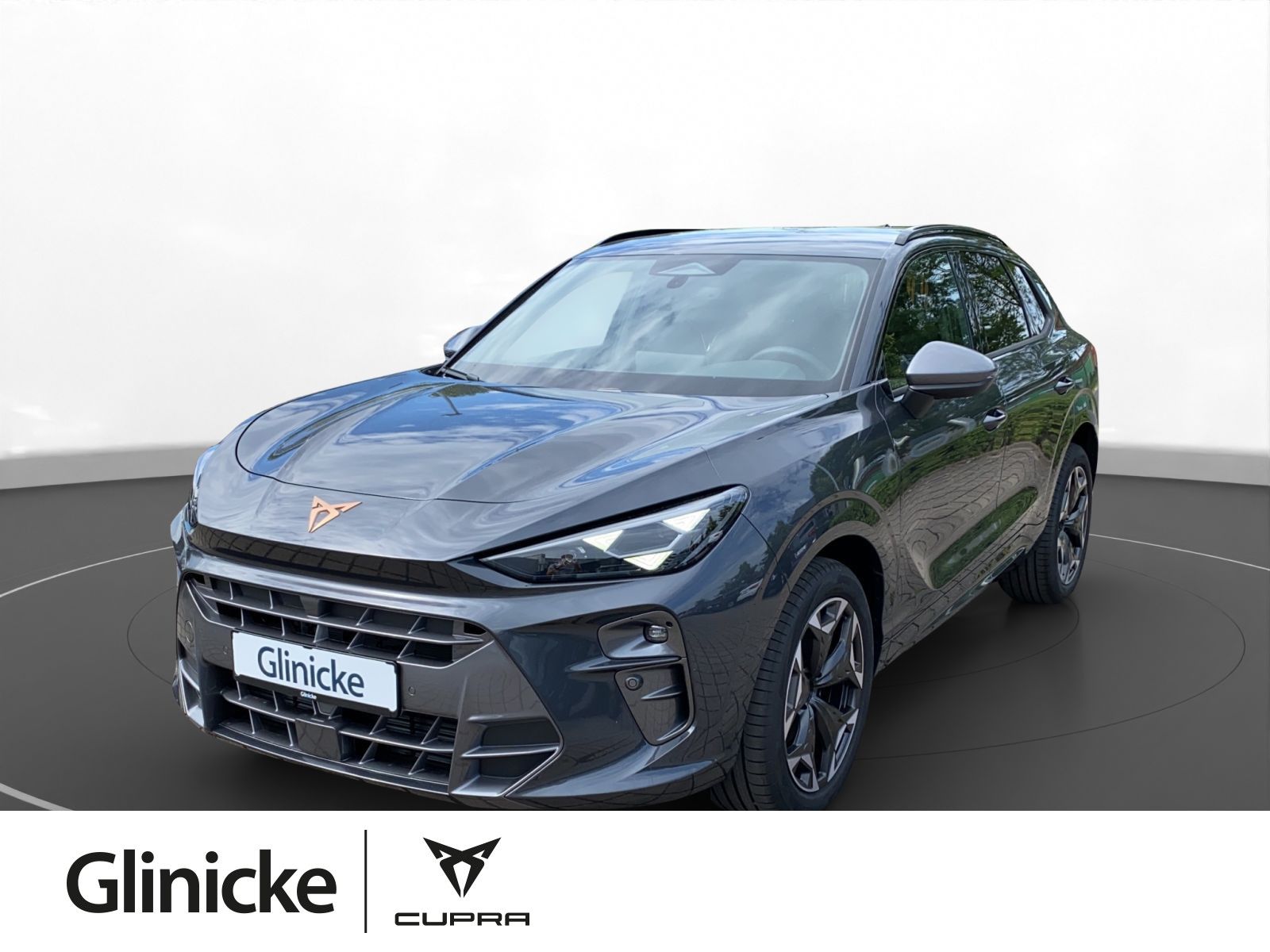 Cupra Terramar - Bild 1