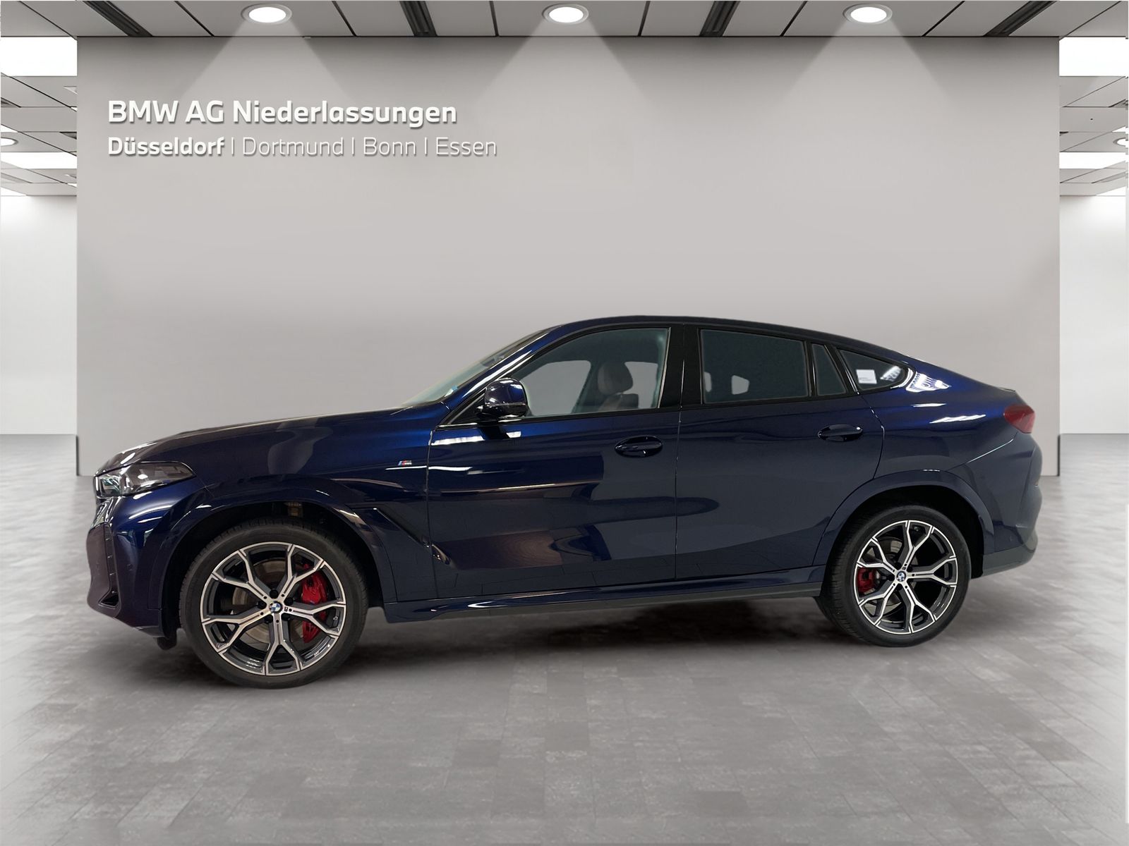 BMW X6 xDrive30d M Sport AHK Harman K Kamera LED foto 5