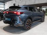 Cupra Formentor 1.5 eTSI e W Edge+ Performance Paket+ - Cupra Formentor Tageszulassungen