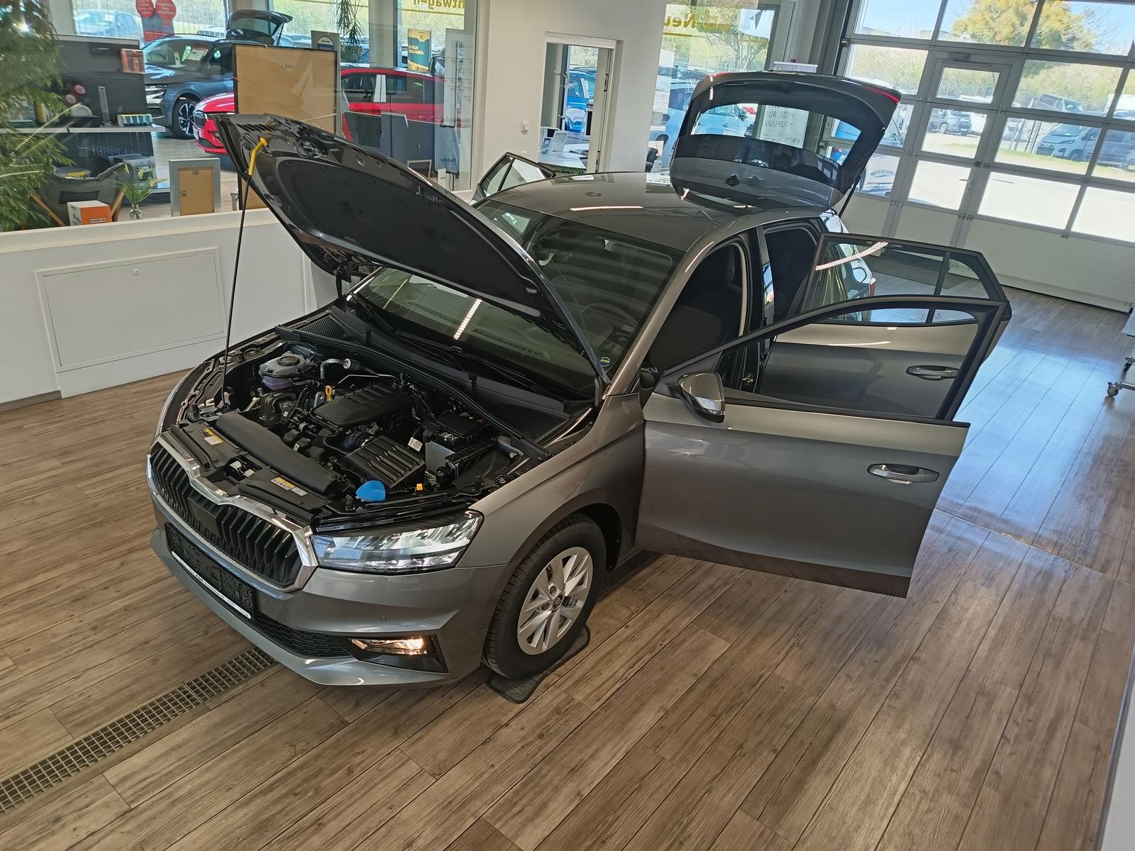 Skoda Fabia Selection *5 JAHRE GARANTIE*LED*R-KAM*PDC*