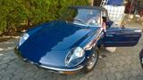 Alfa Romeo Spider Fastback Coda Tronca 2+2 - blaue Alfa Romeo Spider