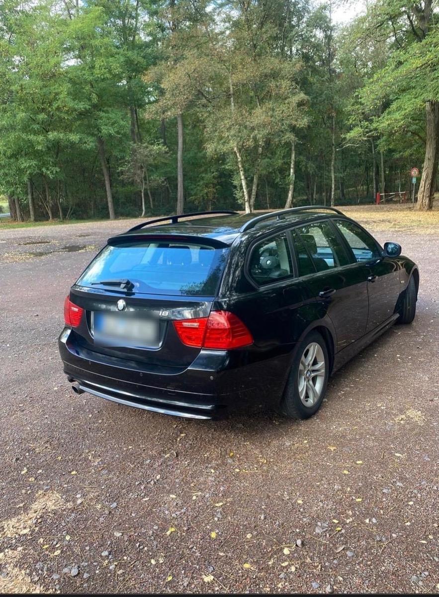 BMW 318 2010 — interior