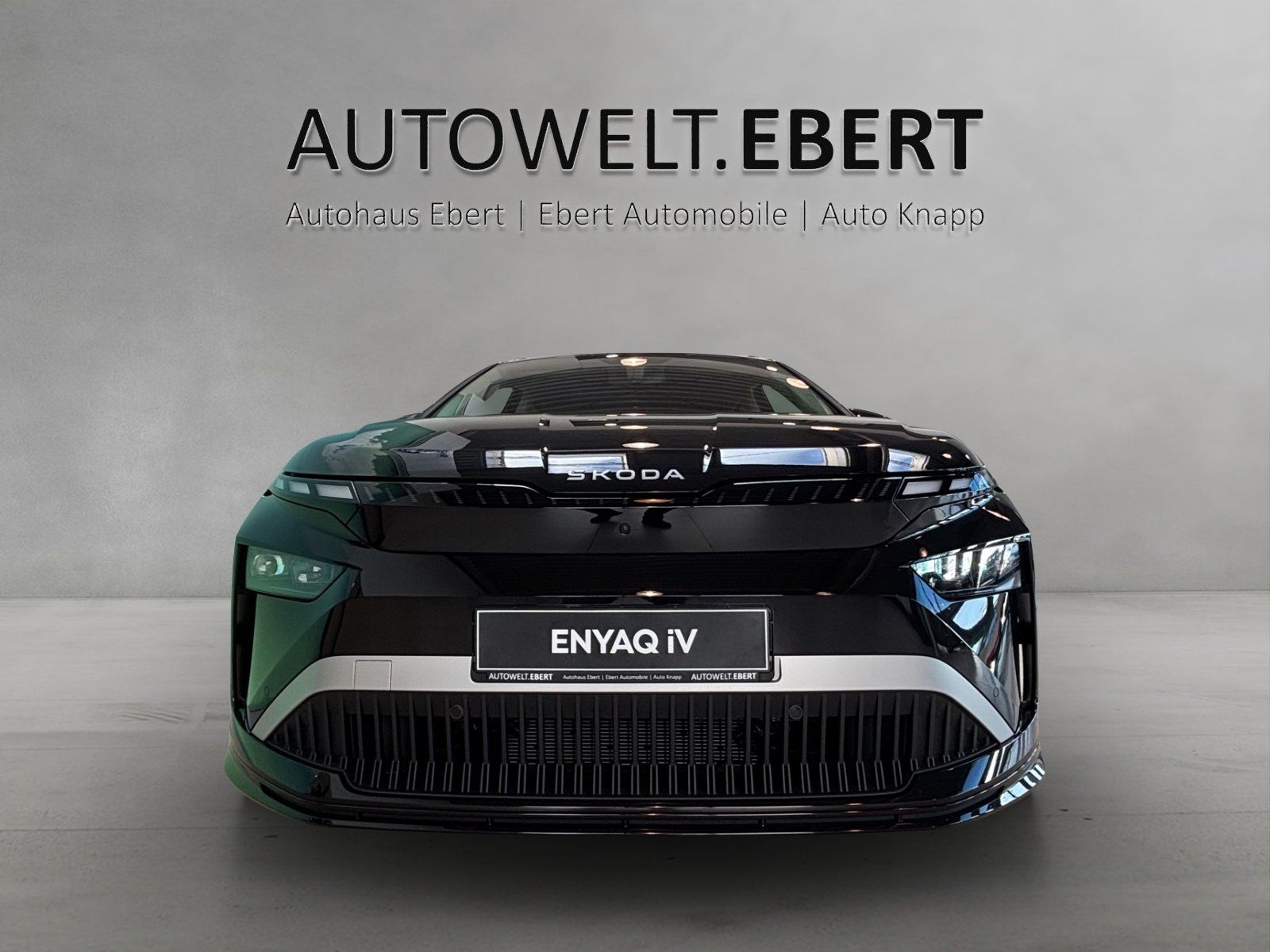 Fahrzeugabbildung SKODA Enyaq 85 MAXX/PANO/AHK/HUD/ACC/360/CANTON