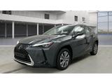 Lexus UX 300e Luxury Line 360 Grad Kamera Mark Levinso - Lexus Gebrauchtwagen von 2022