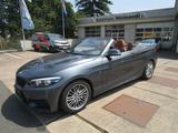 BMW 220 Baureihe 2 Cabrio 220 i M Sport, SH, Leder, - gebrauchte BMW 220 aus dem Jahr 2019