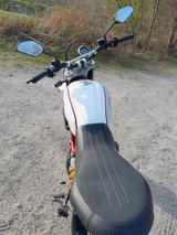 Ducati scrambler desert sled - DUCATI SL