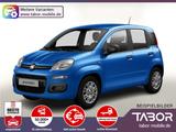 Fiat Panda MHEV 5"-DAB 5-Sitzer PDC DigCo UVP-30%* - Fiat Panda: Sitzer