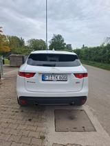 Jaguar F-Pace 30t AWD R-Sport Automatik R-Sport - Jaguar: Sport