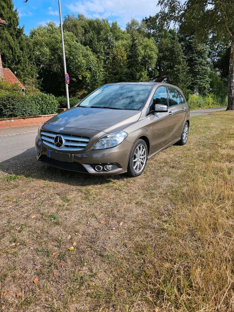 Mercedes-Benz B180 2012 — rear view