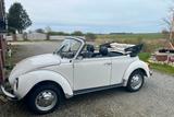 Volkswagen Käfer 1303 LS Cabrio | H-Zul. | Wertgutachten - Volkswagen: Cabrio, 1303