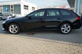 Audi A4 35 2.0 TDI Avant LED Navi ACC Standheizung - Audi A4 Gebrauchtwagen in Erfurt