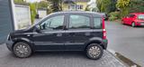 Fiat Panda - Fiat Panda Gebrauchtwagen in Solingen