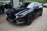 Mazda CX-30 2.5 140PS Homura Voll-LED Navi Kamera elek - Mazda Neuwagen