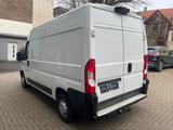 Fiat Ducato Hochr.-Kasten 30 130 L2H2 Navi Kamera PDC - Fiat Ducato: L2h1