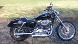 Harley-Davidson Sportster XL 1200 C - Offers