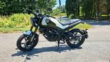 Benelli Leoncino 125 - 270km  - BENELLI LEONCINO 125