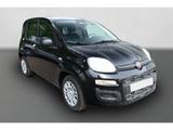Fiat Panda 1.0 GSE Hybrid 48 kW Klima DAB Parksensore - Fiat Panda Gebrauchtwagen in Berlin