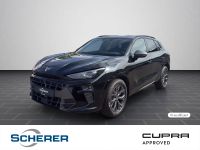 Cupra Terramar - Vorschau Bild 1