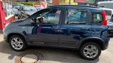 Fiat Panda Rock 4x4 Aluf./Klimaaut./Sitzheizung - Fiat Panda: 4.4
