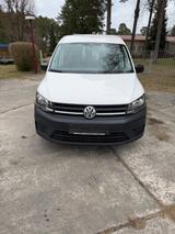 Volkswagen Caddy Maxi (Navi,Klima,CarPlay) - VW Caddy Maxi von privat