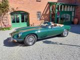 Jaguar E-Type - Jaguar aus 1973