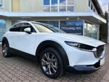 Mazda CX-30  2,0 Ltr. LED Navi Leder 360°-Kamera Euro6 - Mazda CX-30 aus 2019