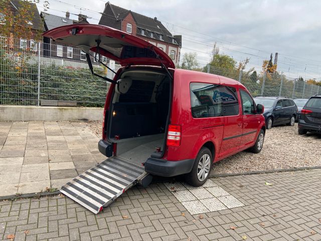 Volkswagen Caddy 1,6TDI  DSG Maxi BEHINTERTENGERECT 5-Sitze