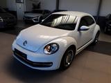 Volkswagen Beetle Lim. Cup DSG Klima SH - Volkswagen Beetle mit Benzin-Antrieb: Limousine, Automatik