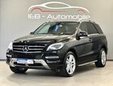 Mercedes-Benz ML 250 CDI BT 4M/7G/Navi/Leder/Xenon/20"/Euro 6 - Mercedes-Benz ML 250 aus 2014