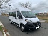 Fiat Ducato 2.3 multijet 2020 9 Sitzer Bus - Fiat Ducato: Kleinbus, 9sitzer