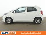 Kia Picanto 1.2 Dream Team *NAVI*SHZ*LHZ*ALU*KLIMA* - Kia Picanto in Frankfurt (Main)