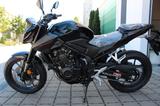 Honda CB500 HORNET *sofort verfügbar* - HONDA CB500 HORNET