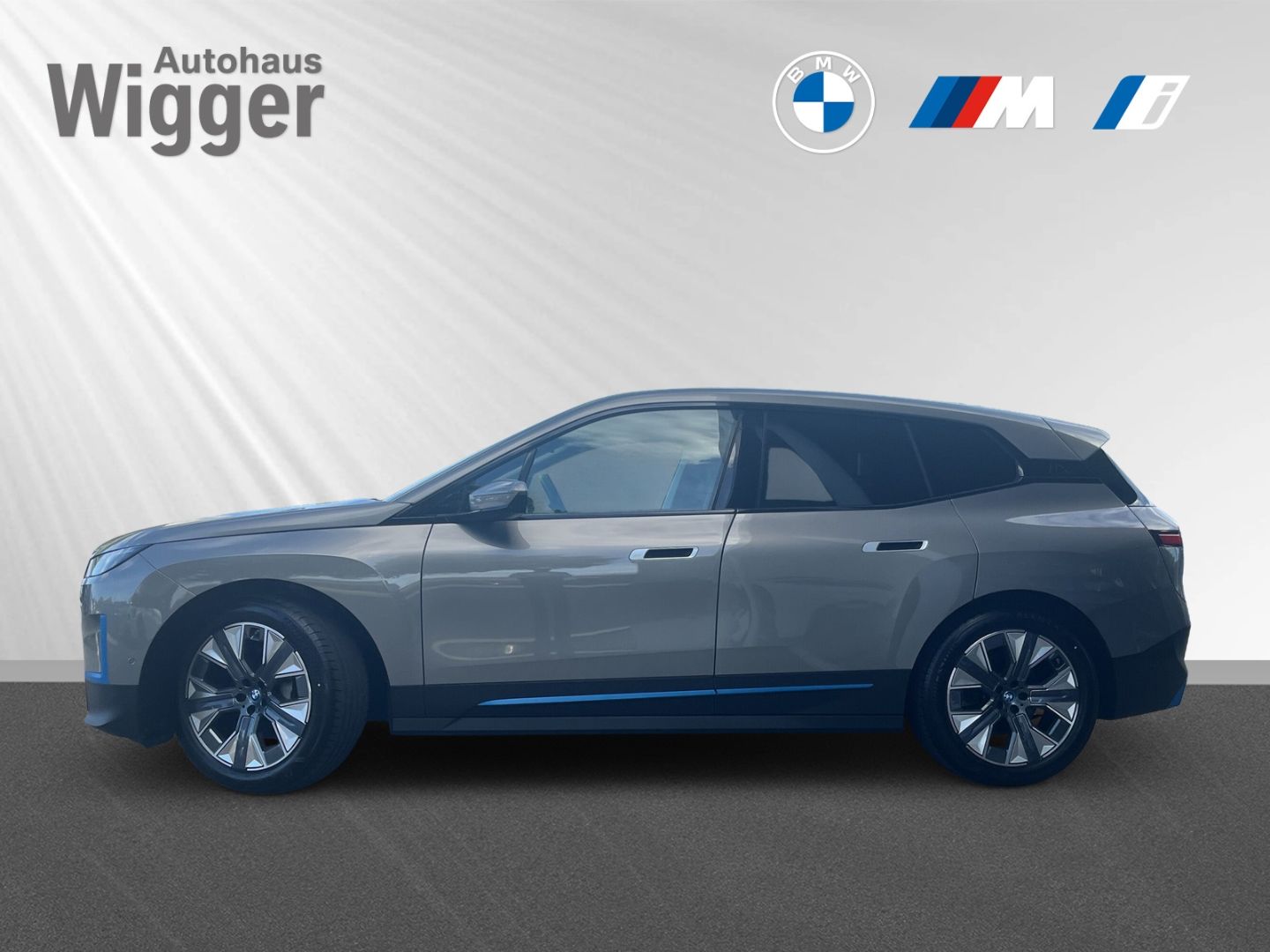 BMW iX xDrive 40 AHK Navigation Soundsystem LED RFK foto 2