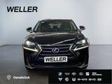Lexus NX 300h E-FOUR Executive-Line *LED*CAM*Leder*SHZ - Lexus NX 300