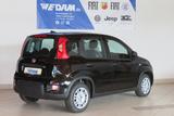 Fiat Panda Pandina Urban 1.0 Hybrid *CityPaket* - Fiat Panda: Pandina