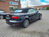 Audi A3 Cabrio ambition Xenon,Navi,S-Sitze/Allcantara - Audi A3 mit Diesel-Antrieb: Cabrio