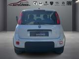 Fiat Panda 1.0 Mild Hybrid Pandina Cross (EURO 6e) - Fiat Panda: Pandina