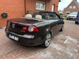 Volkswagen Eos 2.0 FSI Edition 2008 Edition 2008 - Volkswagen Eos aus 2007: Cabrio