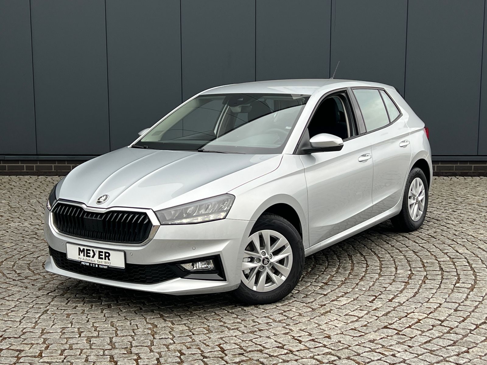 Fahrzeugabbildung SKODA Fabia Selection Edition 130 1.0 TSI DSG *Garanti