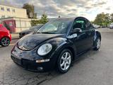 Volkswagen New Beetle Lim. 1.6 - VW New Beetle Gebrauchtwagen