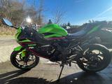 Kawasaki Ninja 125 - KAWASAKI NINJA 125