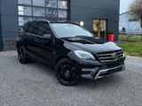 Mercedes-Benz ML 500 AMG Sport H&K NETTO - Mercedes-Benz ML 500 mit Benzin-Antrieb