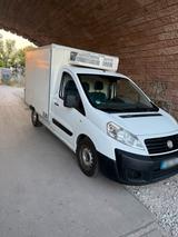 Fiat SCUDO 3,5t Kühlfahrzeug TÜV 6/2028 to... - Fiat Scudo von privat