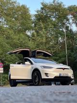 Tesla Model X Performance -Luidicruise Mode Dual Motor