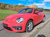 Volkswagen VW Beetle Caprio - Caprio gebraucht