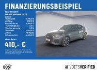 Audi SQ5 - Vorschau Bild 2