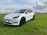 Tesla Model Y Long Range Dual Motor AWD nur 8.100km