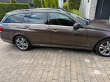 Mercedes-Benz E 220 CDI T AVANTGARDE AVANTGARDE - mit Diesel-Antrieb: Braun, Kombi